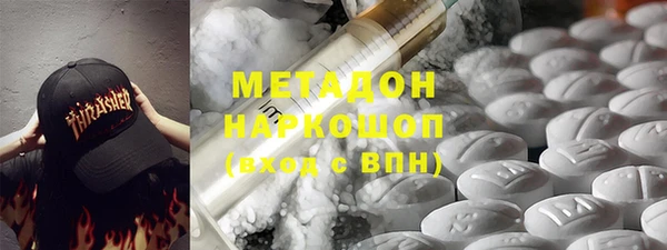 индика Алексин