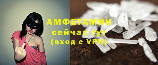 индика Алексин