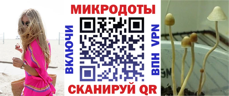 Псилоцибиновые грибы Cubensis  Дубна 